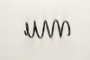 OPEL 13172583 Coil Spring